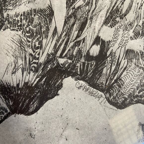 Vintage Windprints 11 C Karvel 1971 Elephant Sketch Print Poster - Picture 5 of 5